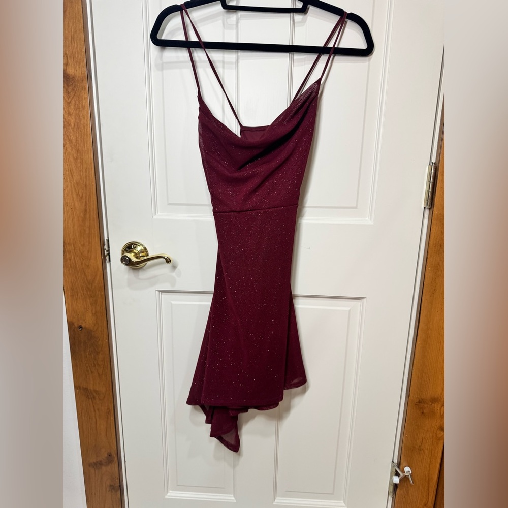 Windsor Burgundy Cowl Neck Dress